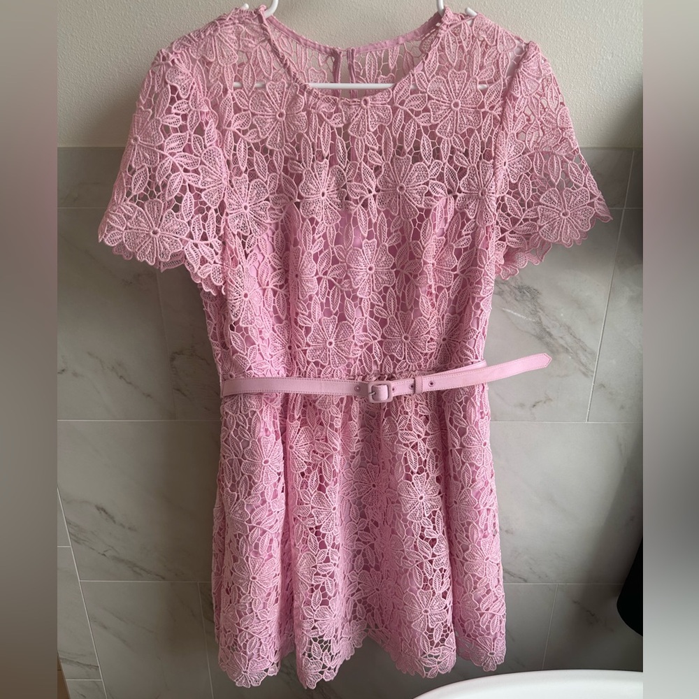 Self-Portrait Guipure Lace Mini Dress in Pink